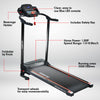 Powertrain V25 Foldable Treadmill Home Gym Cardio Walk Machine