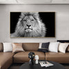 Lion Canvas Wall Art