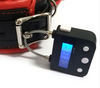 Electronic Timer BDSM Bondage