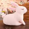 Rabbit Plush Toy