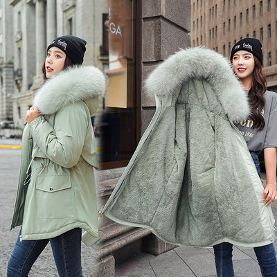 Cotton & Fleece Coat