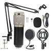 Microphone Stand Set - Casa Loréna Store