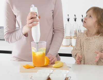 Kitchen Cooker Handheld Blender Cooking - Casa Loréna Store