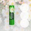 Daisy Lip Balm