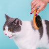 Pet Cleaning Brush