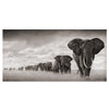 African Elephant Wild Animal Decorative Painting