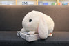 Cute Rabbit Plush Toy