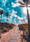 Sunset Lighthouse Wave Coconut Tree Combination Landscape