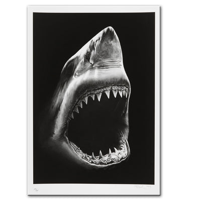 Shark Canvas Painting