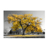 Landscape Tree Canvas Classic Oil Painting