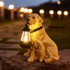 LED Solar Light Dog Lantern