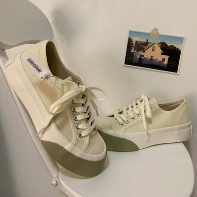 Versatile Canvas Shoes