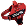 Outdoor Explosion-proof Breasted Dog Harness - Casa Loréna Store