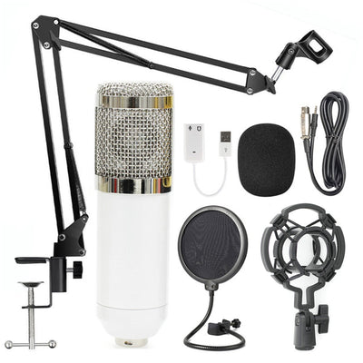 Microphone Stand Set - Casa Loréna Store