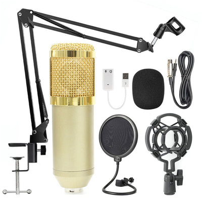 Microphone Stand Set - Casa Loréna Store