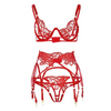 Lace Lingerie Set