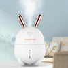 Rabbit humidifier atomizer