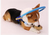 Blind Dog Visually Impaired Bumper Collar Harness