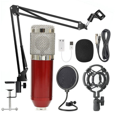 Microphone Stand Set - Casa Loréna Store
