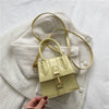 Luxury Handle Mini Bag