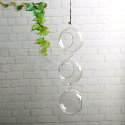 Hydroponic Hanging Glass Vase