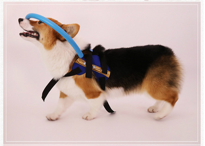 Blind Dog Visually Impaired Bumper Collar Harness