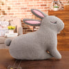 Rabbit Plush Toy