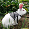 Rabbit Leash Walking Harness