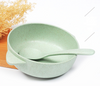 Biodegradable Environmentally Friendly Rice Bowl