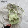 Luxury Handle Mini Bag