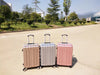 ABS Rose Gold Silver Champagne Suitcase