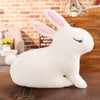 Rabbit Plush Toy