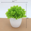 Artificial Plant Bonsai + Pot