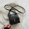 Luxury Handle Mini Bag