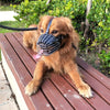 Dog Muzzle Adjustable Basket