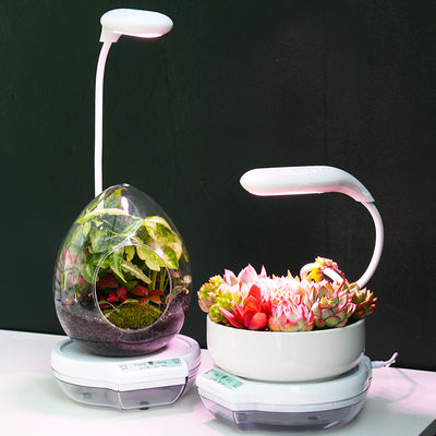 Full Spectrum Hydroponic Light