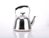 Non-Magnetic Kettle with Strainer