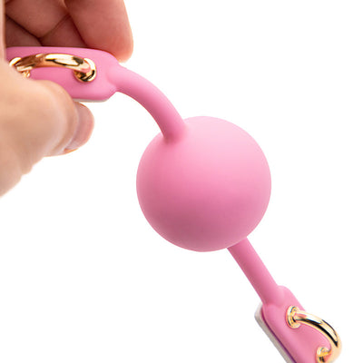 Male And Female Shared Mouth Plugs Gags Bondage Toys